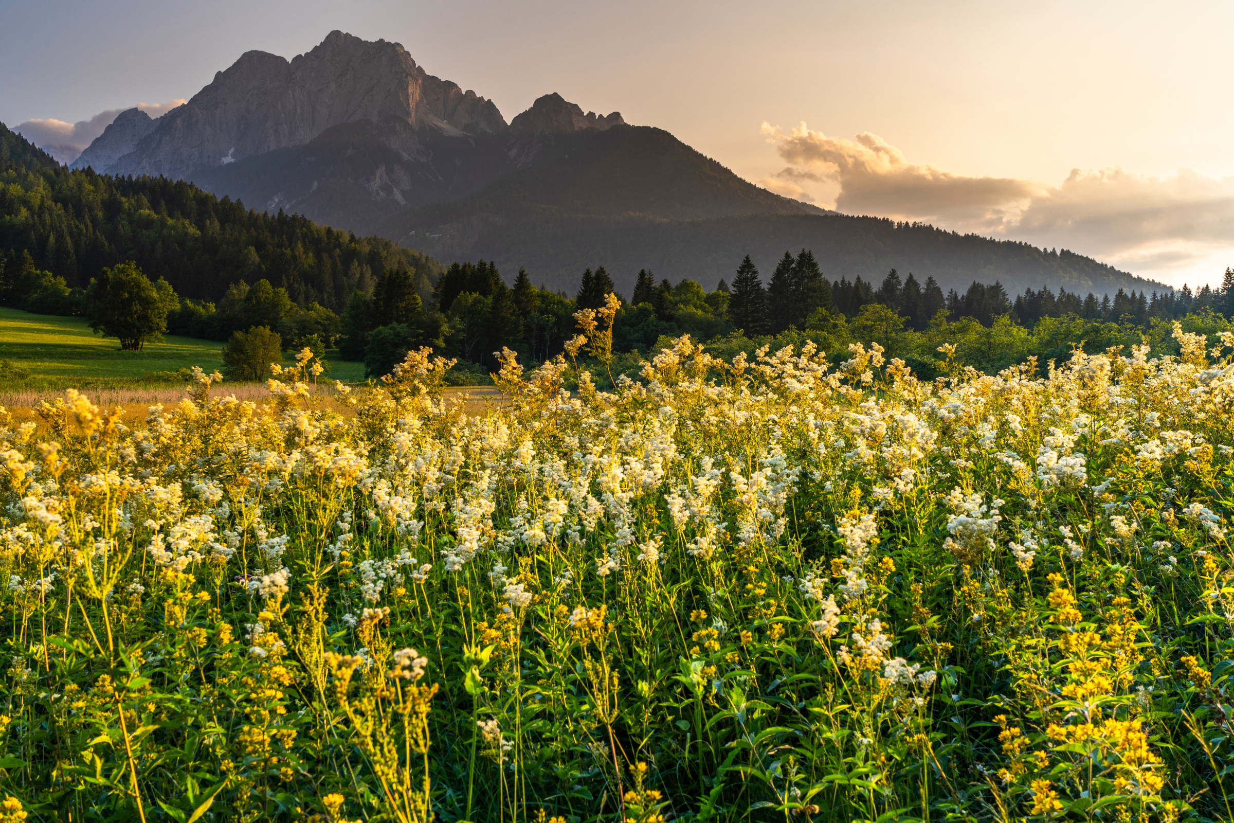 triglav national park (3).webp